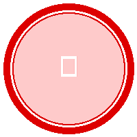 广东东阳光直播在线观看